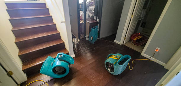 Best Ceiling water damage repair  in Resaca, GA