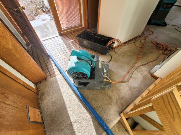 Best Sewage cleanup and water damage restoration  in Resaca, GA