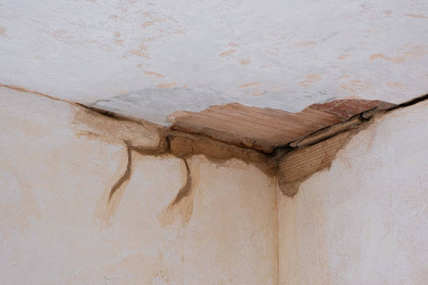 Best Ceiling water damage repair  in Resaca, GA