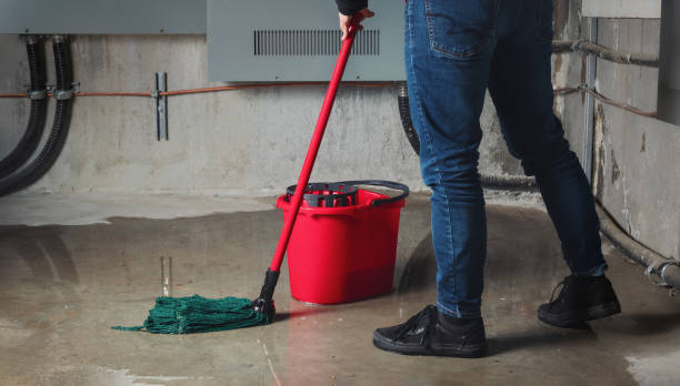 Best Carpet water damage restoration  in Resaca, GA
