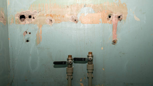 Best Basement water damage restoration  in Resaca, GA