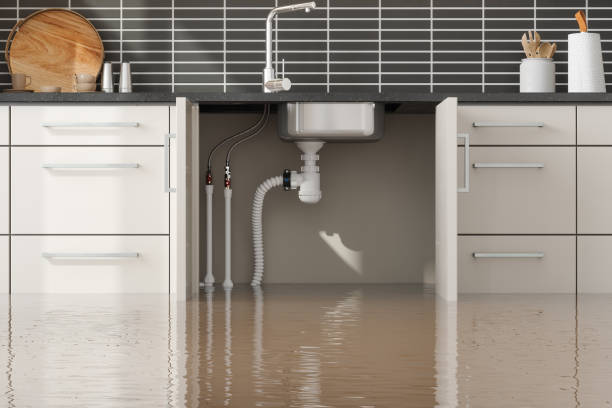 Best Water damage cleanup near me  in Resaca, GA