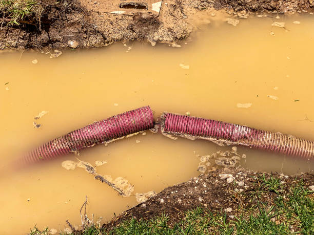 Best Professional water damage repair  in Resaca, GA