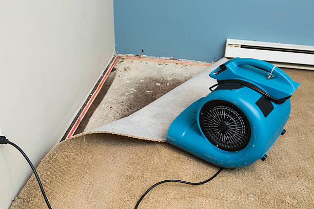 Best Basement water damage restoration  in Resaca, GA
